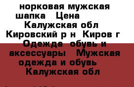 норковая мужская шапка › Цена ­ 3 000 - Калужская обл., Кировский р-н, Киров г. Одежда, обувь и аксессуары » Мужская одежда и обувь   . Калужская обл.